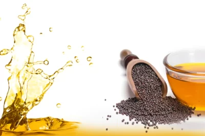 Exploring Mustard Oil : Unveiling 10 Health Benefits And Drawbacks